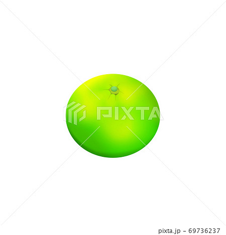 緑色のミカン 69736237
