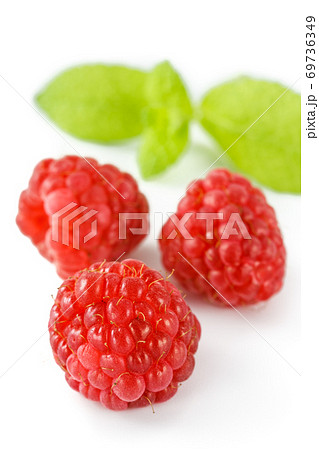 ラズベリー 69736349