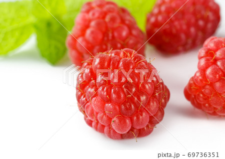 ラズベリー ラズベリー 69736351