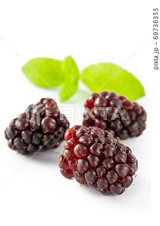 ブラックベリー 69736355