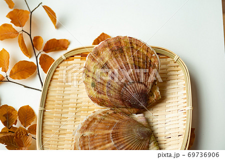 秋に美味しいホタテ貝 69736906