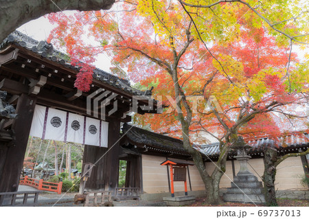 京都 今宮神社の紅葉 69737013