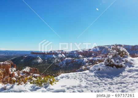 Winter in Bryce 69737261
