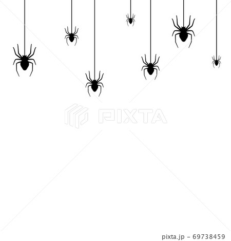 Spider web concept 69738459