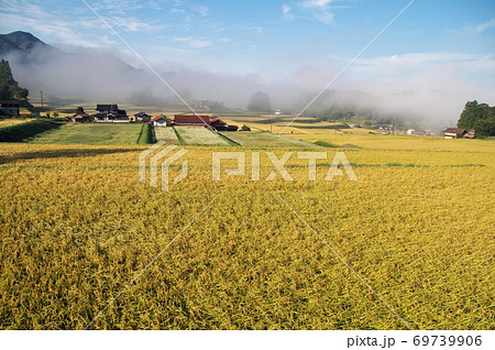 実りの秋黄金色の稲穂　秋の里山田園風景 69739906