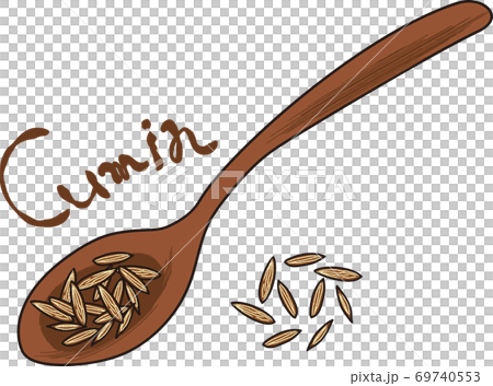 インドカレーのスパイス クミンのイラストのイラスト素材