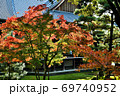京都大覚寺の紅葉の境内 69740952