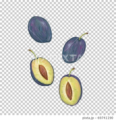 prune prune 69741190