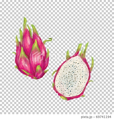 ドラゴンフルーツ 69741194