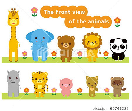 Animal Front Illustration Stock Illustration