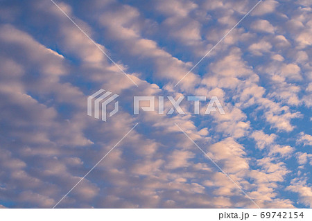 オレンジ色に染まった鱗雲 69742154