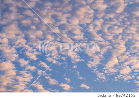 オレンジ色に染まった鱗雲 オレンジ色に染まった鱗雲 69742155