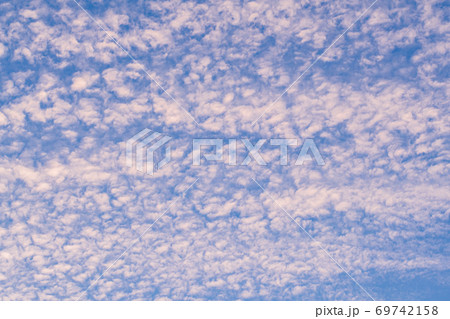 オレンジ色に染まった鱗雲 オレンジ色に染まった鱗雲 69742158