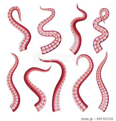 Octopus Tentacles Collection, Underwater Marine Creature Part of Body Vector Illustration 69742520