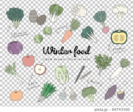 手描きの冬の野菜のイラストのセット シンプル おしゃれ 食べ物 食材 季節 果物 フルーツのイラスト素材