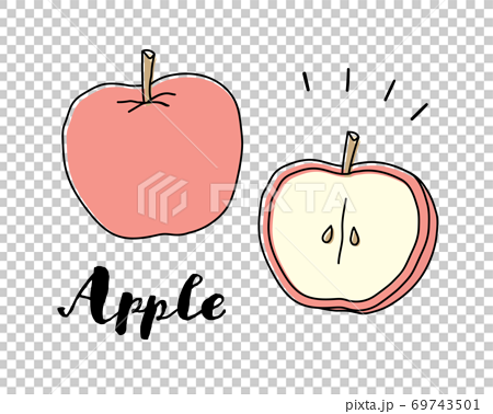 手描きのリンゴのイラストのセット かわいい おしゃれ 断面 果物 フルーツ デザート 食材のイラスト素材