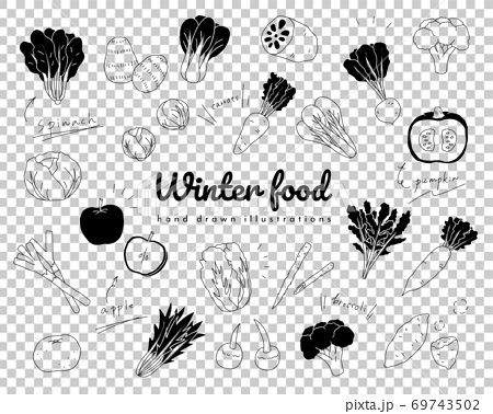 手描きの冬の野菜のイラストのセット シンプル おしゃれ 食べ物 食材 季節 果物 フルーツのイラスト素材