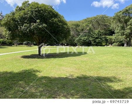 初秋の公園 69743719