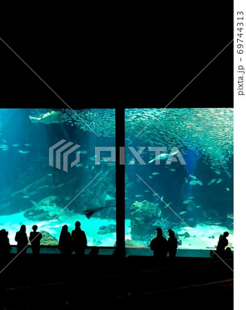 大きな水槽 69744313