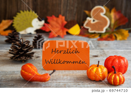 Label With Autumn Decoration, Willkommen Means Welcome Label With Autumn Decoration, Willkommen Means Welcome 69744710