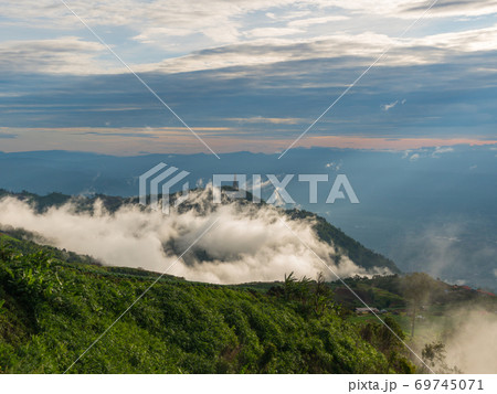 Fog at mountain forest in the morning Fog at mountain forest in the morning 69745071