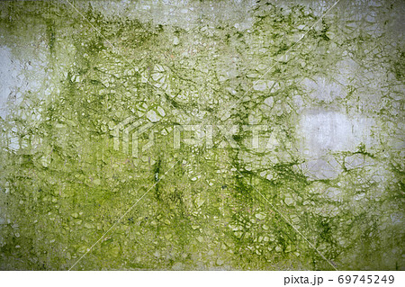 green cracked concrete background with moss green cracked concrete background with moss 69745249