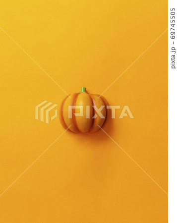 カラー背景上のカボチャ。ハロウィン、収穫など 69745505