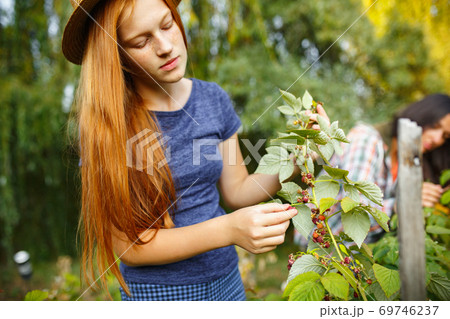 Happy little girl during picking berries in a garden outdoors. Love, family, lifestyle, harvest concept. Happy little girl during picking berries in a garden outdoors. Love, family, lifestyle, harvest concept. 69746237