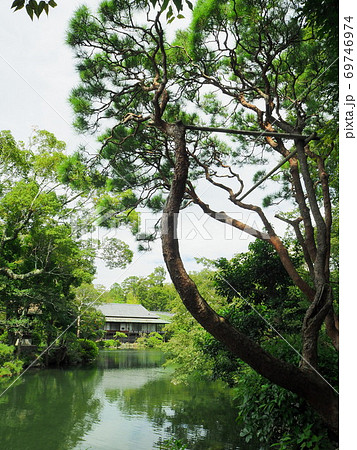 静岡県 楽寿園 満水の小浜池 9月 静岡県 楽寿園 満水の小浜池 9月 69746974