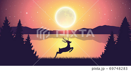 jumping deer in the nature by the lake at moon light jumping deer in the nature by the lake at moon light 69748283