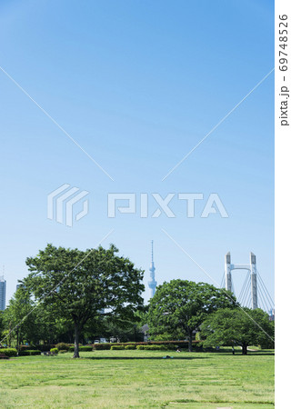 快晴の公園の風景 69748526