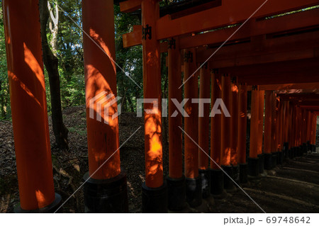 京都市伏見区稲荷大社で撮影した千本鳥居及び境内の風景 京都市伏見区稲荷大社で撮影した千本鳥居及び境内の風景 69748642