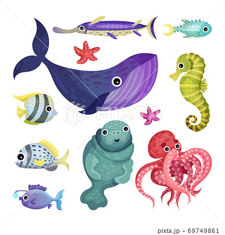 Marine Animals with Octopus and Whale Vector Set Marine Animals with Octopus and Whale Vector Set 69749861
