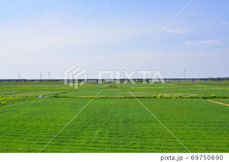 埼玉県桶川市の太郎右衛門橋の風景 埼玉県桶川市の太郎右衛門橋の風景 69750690