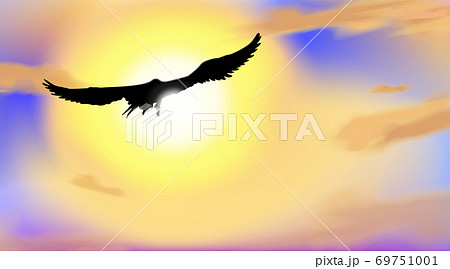 Art Background With The Silhouette Of An Hawk のイラスト素材