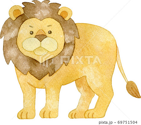 オスのライオンのイラスト素材