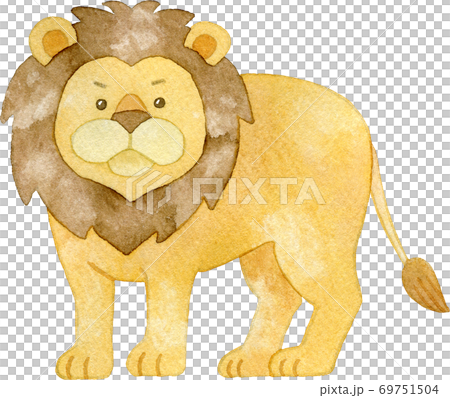 オスのライオンのイラスト素材