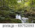 奥入瀬渓流　支流 69752093