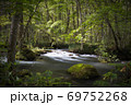 奥入瀬渓流　木漏れ日の渓流　三乱の流れ 69752268