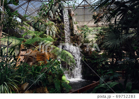 incredible tropical greenhouse in the nursery of various garden plants incredible tropical greenhouse in the nursery of various garden plants 69752283