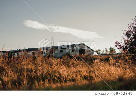 Sunset on a field with wheat or rye in September in the harvest season with cloudy sky background. Beautiful landscape on the farm. Sunset on a field with wheat or rye in September in the harvest season with cloudy sky background. Beautiful landscape on the farm. 69752349