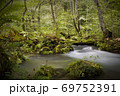 奥入瀬渓流　木漏れ日の中の渓流　　三乱の流れ 69752391