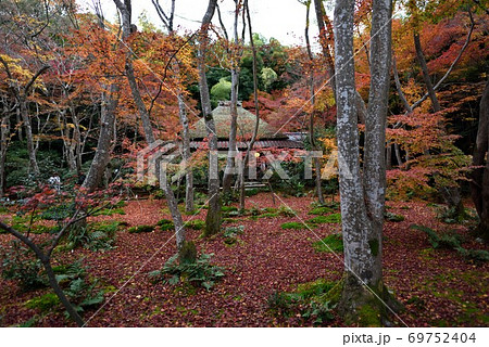 京都　祇王寺の苔と紅葉 草庵 69752404