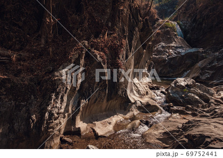 Lan Sang National Park in Thailand. travel light Lan Sang National Park in Thailand. travel light 69752441