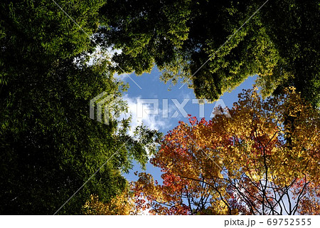 京都 祇王寺の紅葉と青空 京都 祇王寺の紅葉と青空 69752555