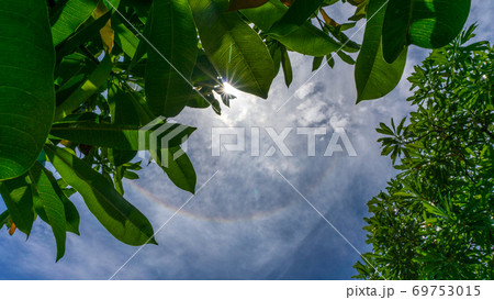 Natural halo around the sun in the sky Natural halo around the sun in the sky 69753015
