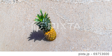 Fresh pineapple on the beach. Fruit in the sea waves. Summer vacation concept. Fresh pineapple on the beach. Fruit in the sea waves. Summer vacation concept. 69753600