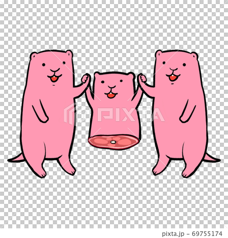 冷凍的老鼠和他們的朋友(微笑,寵物繁殖,蛇,貓頭鷹,狐狸,蜥蜴)成為爬行動物和猛禽的食物 冷凍的老鼠和他們的朋友(微笑,寵物繁殖,蛇,貓頭鷹,狐狸,蜥蜴)成為爬行動物和猛禽的食物 69755174