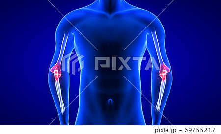 Elbow Pain illustration front view close-up. Blue Human Anatomy Body 3D Scan render on blue background 69755217