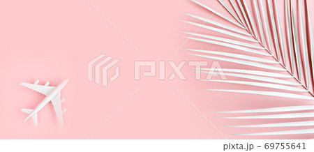White model plane, airplane and palm leaf on pink background. Top view, flat lay. Banner. White model plane, airplane and palm leaf on pink background. Top view, flat lay. Banner. 69755641